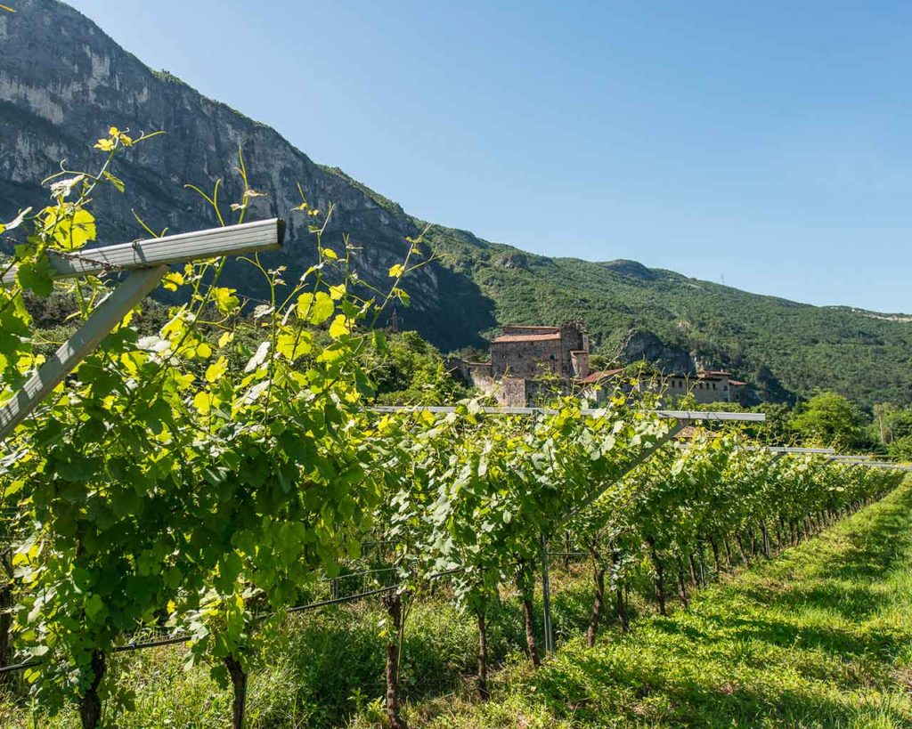 Cantina Aldeno - Movimento Turismo del Vino Trentino Alto Adige