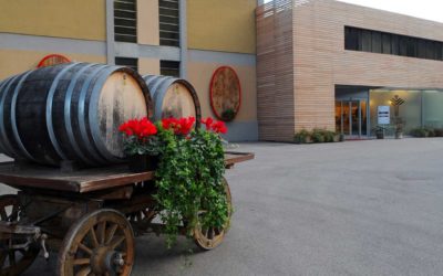 Cantina Aldeno - Movimento Turismo del Vino Trentino Alto Adige