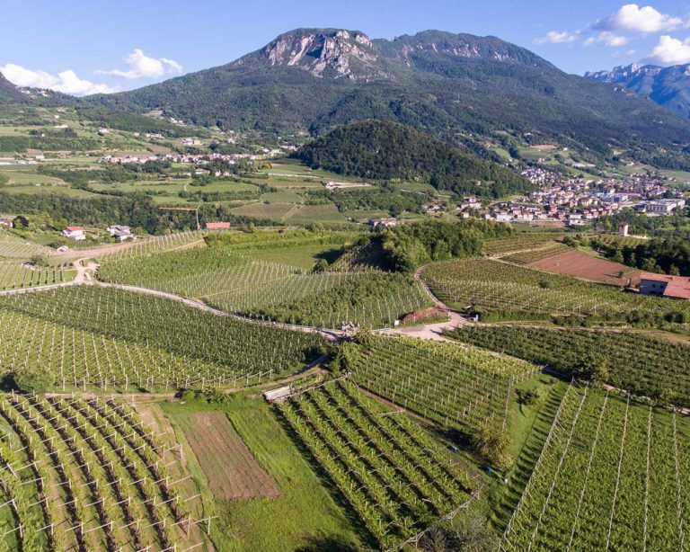 Cantina Sociale di Trento - Movimento Turismo del Vino Trentino Alto Adige