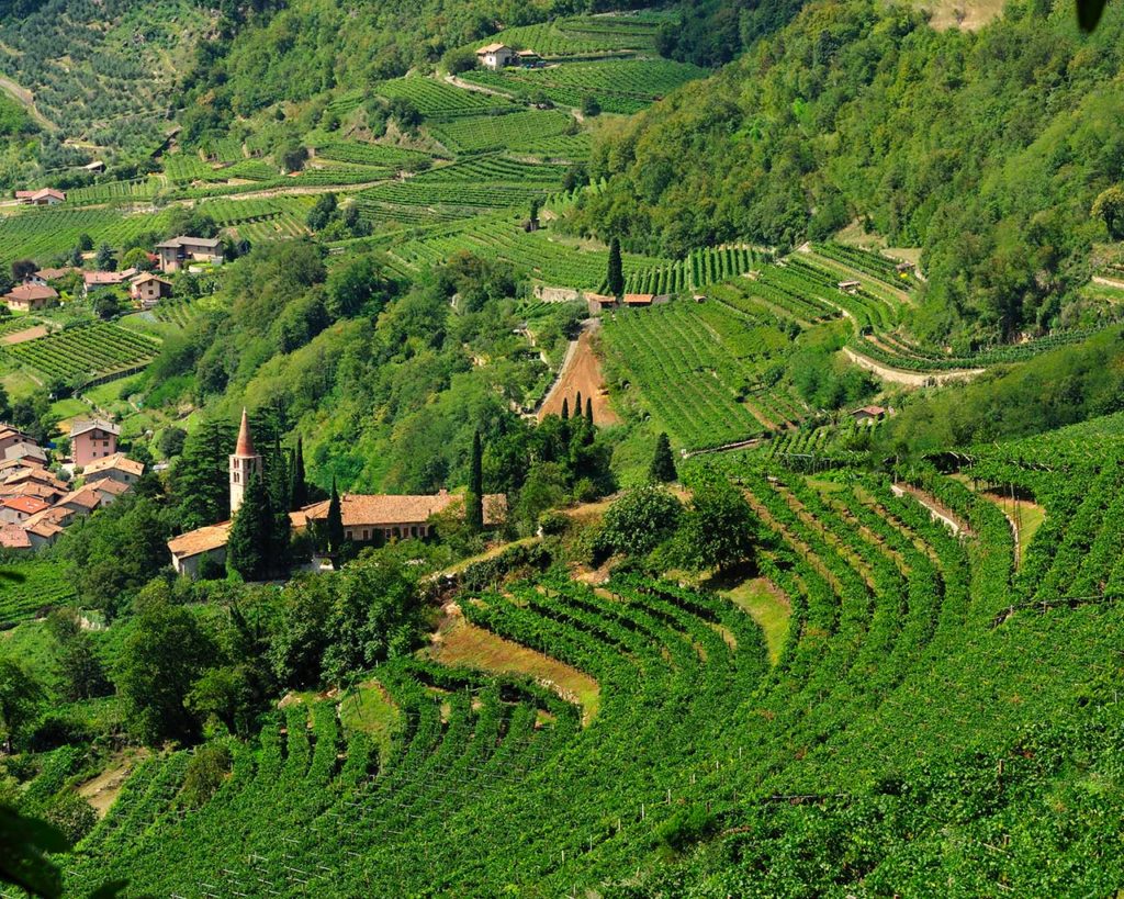 Cavit - Movimento Turismo del Vino Trentino Alto Adige