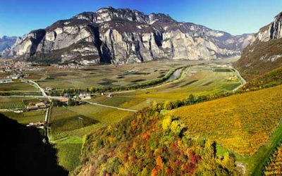 Endrizzi - Movimento Turismo del Vino Trentino Alto Adige
