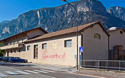Gaierhof - Movimento Turismo del Vino Trentino Alto Adige