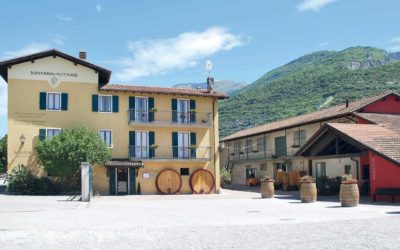 Madonna delle Vittorie - Movimento Turismo del Vino Trentino Alto Adige