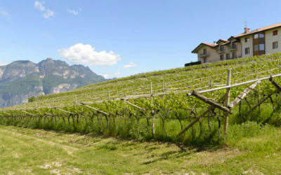 Maso Grener - Movimento Turismo del Vino Trentino Alto Adige