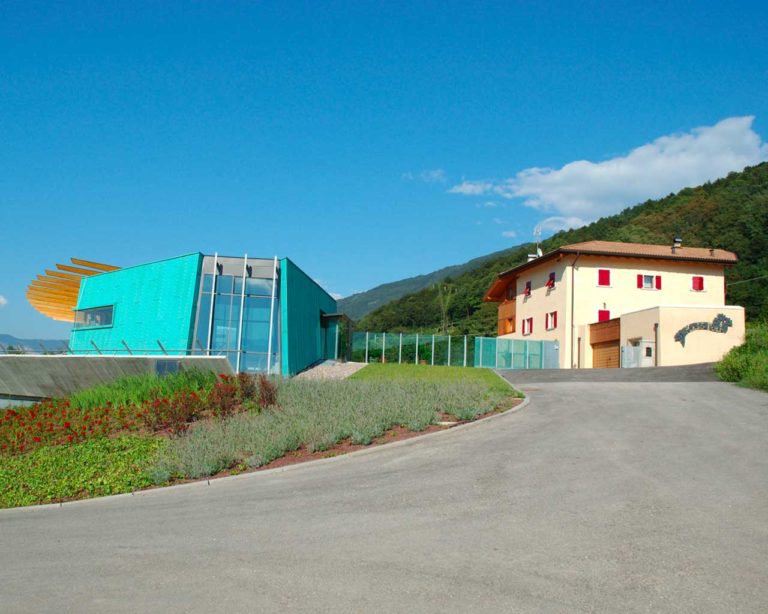 Maso Poli - Movimento Turismo del Vino Trentino Alto Adige
