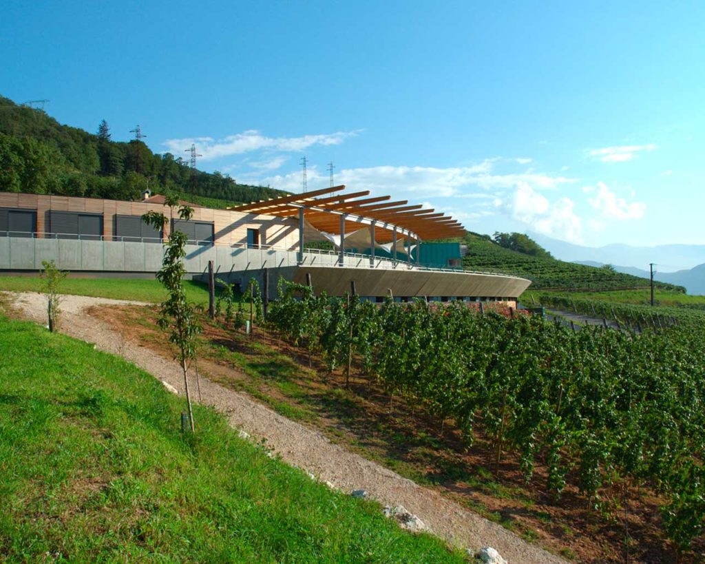 Maso Poli - Movimento Turismo del Vino Trentino Alto Adige