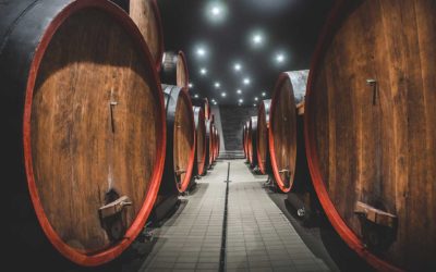Mezzacorona - Movimento Turismo del Vino Trentino Alto Adige