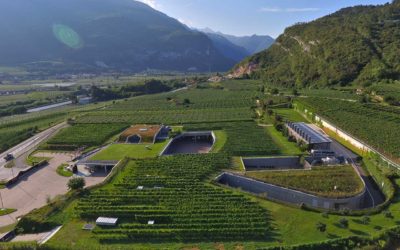 Cantina Mori Colli Zugna - Movimento Turismo del Vino Trentino Alto Adige