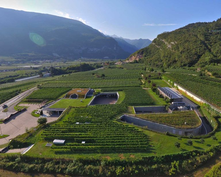 Cantina Mori Colli Zugna - Movimento Turismo del Vino Trentino Alto Adige