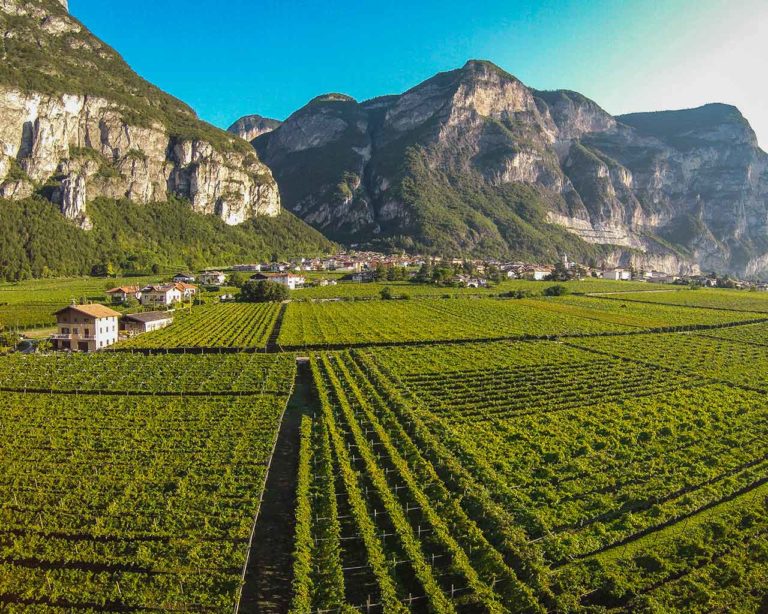 Roveré della Luna - Movimento Turismo del Vino Trentino Alto Adige