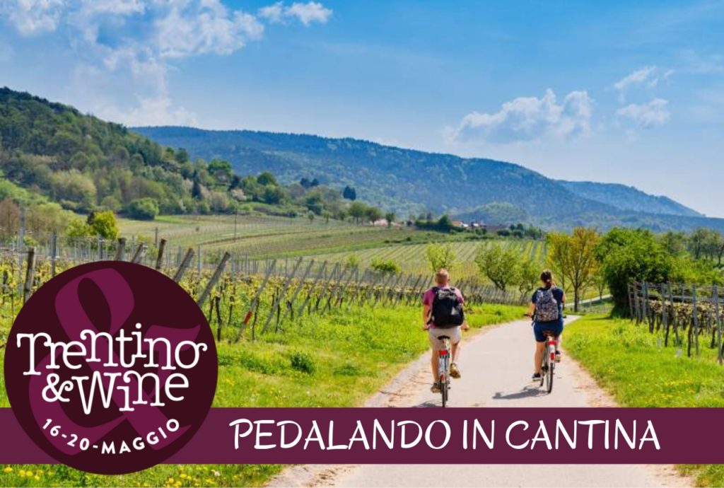 Pedalando in Cantina - Trentino Wine Fest 2019