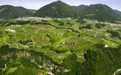 Corvée - Movimento Turismo del Vino Trentino Alto Adige