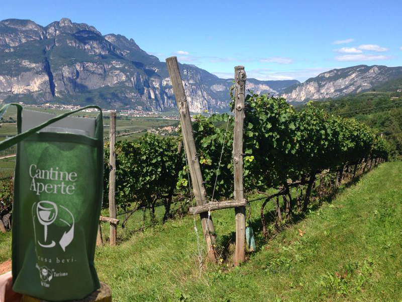 Cantine Aperte 2022 Movimento Turismo del Vino Trentino Alto Adige
